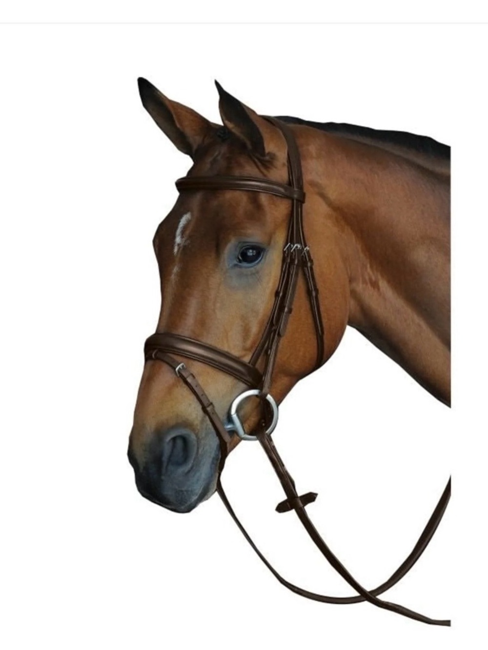 Classic Brown Leather Horse Bridle
